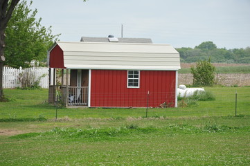 On the Farm