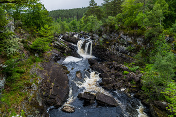 Rogie Falls, Scotland