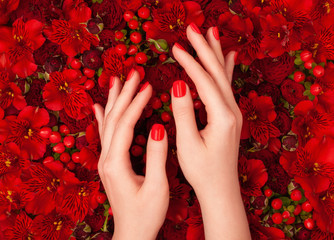 Female hands with bright red manicure on luxurious floral background. - obrazy, fototapety, plakaty