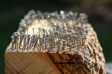 Wooden log with hundreds of nails in it.
