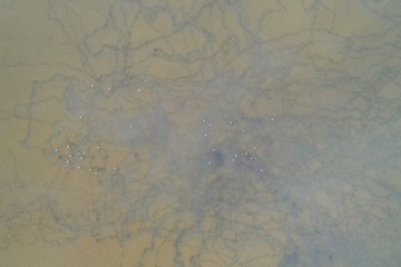 Tigaki salt lake flaming flamingos on Kos island Greece