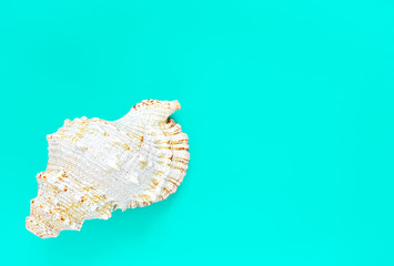 Malyusk shell, interior for bath or spa. Day of rest and relaxation. Flat lay, blue background with copy space.