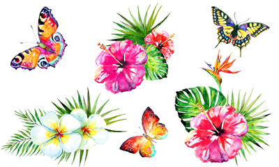 Hawaiian flowers, butterflies, watercolor, exotic plants, isolated on a white