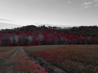 Emozioni in bianco e nero 