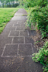 Old, overgrown path with hopscotch board 
