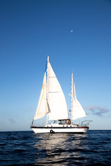 Fototapeta na wymiar sailboat on the sea and moon