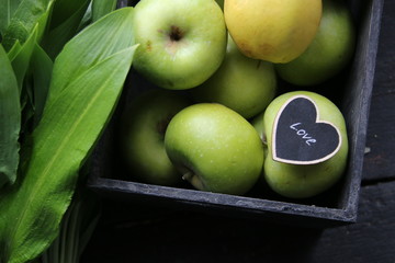 I love healthy food concept.