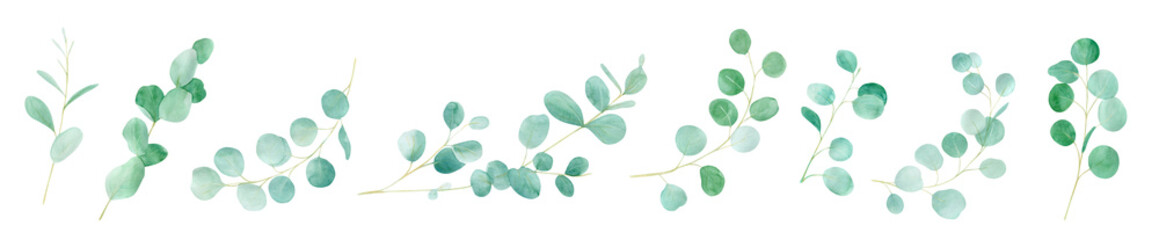 Watercolor green floral with eucalyptus. Hand painted pattern with branches eucalyptus. Perfect For Wedding Design