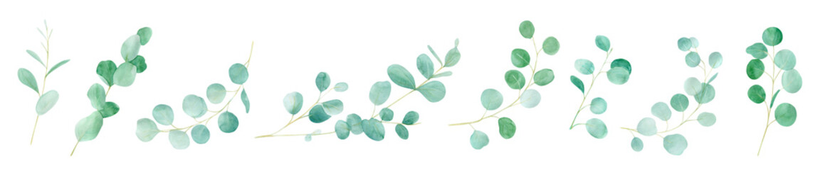 Obraz premium Watercolor green floral with eucalyptus. Hand painted pattern with branches eucalyptus. Perfect For Wedding Design
