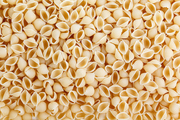 A variety of types and forms of Italian pasta. Dry pasta in the shape of shells. Pile of seashells pasta isolated on white background. Shot from above and filling the frame.