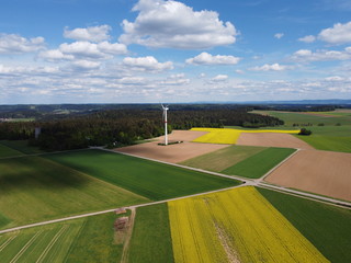 Fototapeta premium Windrad - Rapsfelder - Drohnenfoto