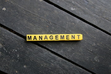 Management concept. Word made of cubes.