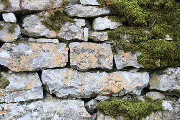natural stone wall with many moss on it