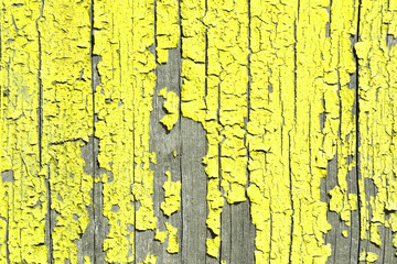 wooden colorful background close up