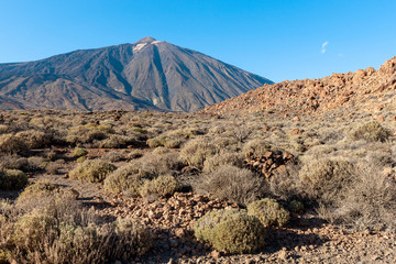  Peak of Teide volcano, Teide National park, Tenerife Island, Spain