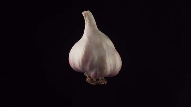 Slow rotation of a garlic on a black background. Close-up shot, low angle