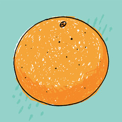 Fun scribbled orange citrus vector fruit hand drawn illustration on turquoise blue background