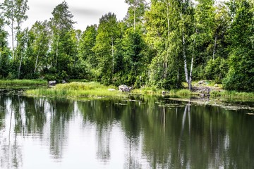 Vuoksa river Bank with trees and greenery against the sky