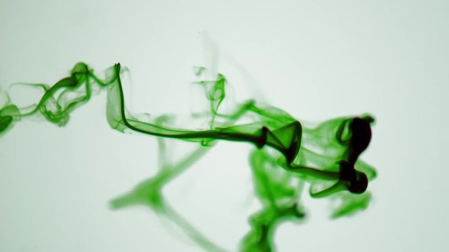 conceptual microscopic algae life. Isolated Macro close-up Green Ink Cloud floating in clear water. Highspeed Macro Green isolated Cloud
