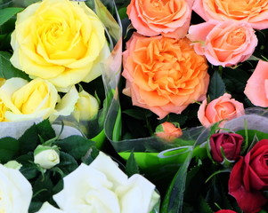 a bouquet of beautiful multicolored roses close up