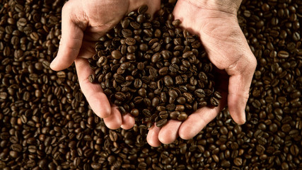 Detail of man hands holding coffee beans