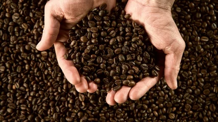 Foto op Plexiglas Detail of man hands holding coffee beans © Jag_cz