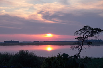 Fototapeta na wymiar tree and lake at sunset background