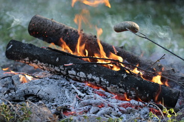 na pikniku ognisko kiełbasa smażona na ogniu 
