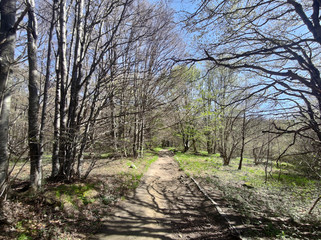 Spring view of Vitosha Mountain,  Bulgaria