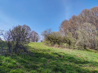 Spring view of Vitosha Mountain,  Bulgaria