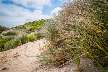 Grass and sand at the beach of Carbis Bay near St. Ives in Cornwall, UK