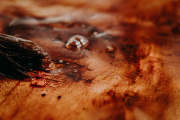 wood processing; restoration with varnish; brush paints a board from solid wood.