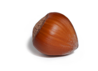 Hazelnut isolated on white.