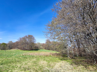 Spring view of Vitosha Mountain,  Bulgaria