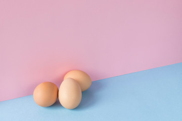 Fototapeta premium Three brown eggs on a light blue and pink background