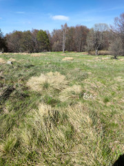 Spring view of Vitosha Mountain,  Bulgaria