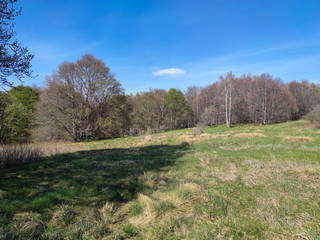 Spring view of Vitosha Mountain,  Bulgaria