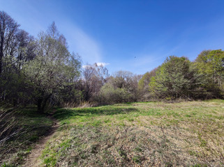 Obraz premium Spring view of Vitosha Mountain, Bulgaria