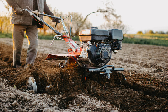 tractor motoblock works in the field at sunset. cultivates the soil.