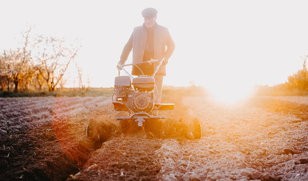 male farmer works in a field on a walk behind motoblock, plows the land with a plow at sunset.