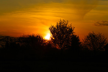 Fototapeta premium sunrise, nature, colorful, picturesque, sunlight.