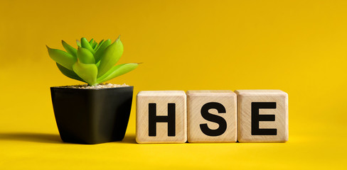HSE - business financial concept on a yellow background. Wooden cubes and flower in a pot.