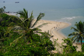 tropical beach with palm trees