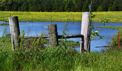 Posts Hold Fence in Front of Pond