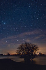 Fototapeta na wymiar Beautiful blue Night with starry sky, high ISO landscape.