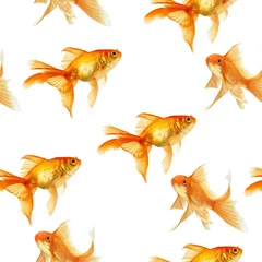 Fototapete Goldfisch Reihe von Goldfischen