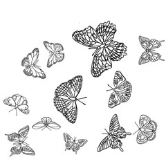 Seamless pattern with butterflies. Set butterflies. Coloring book. Page antistress coloring. Coloring book for adults. Page coloring for adults	
