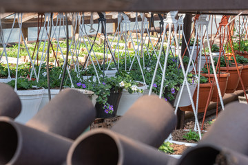 metal heating system in a nursery greenhouse and pots of flowers in the background
