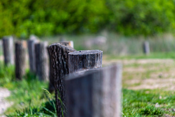 Wood fence stump background.Spring time, weathered wooden fence.