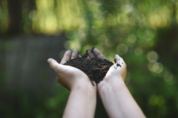 Forest man working the land in the hands of a woman. Concept, let's take care of our planet and for sustainable work.